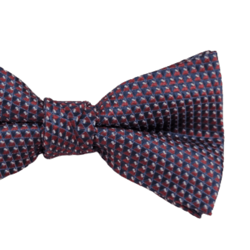 GravataVinhocomDesenhoVermelhoeAzul