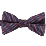 GravataVinhocomDesenhoVermelhoeAzul